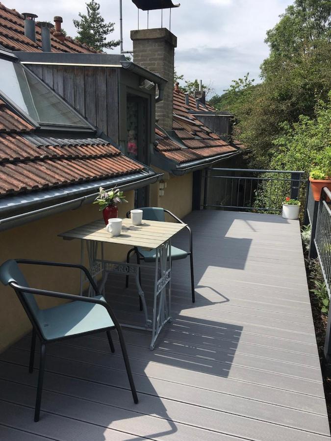 Apartman Pod Velkou Amerikou Morina Экстерьер фото