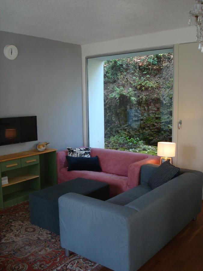 Apartman Pod Velkou Amerikou Morina Экстерьер фото